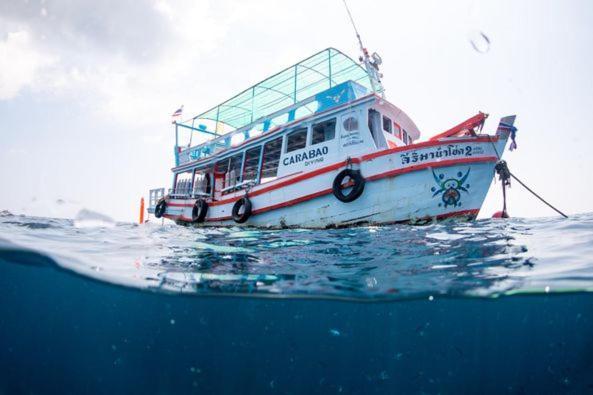 מלון Carabao Diving קו טאו מראה חיצוני תמונה