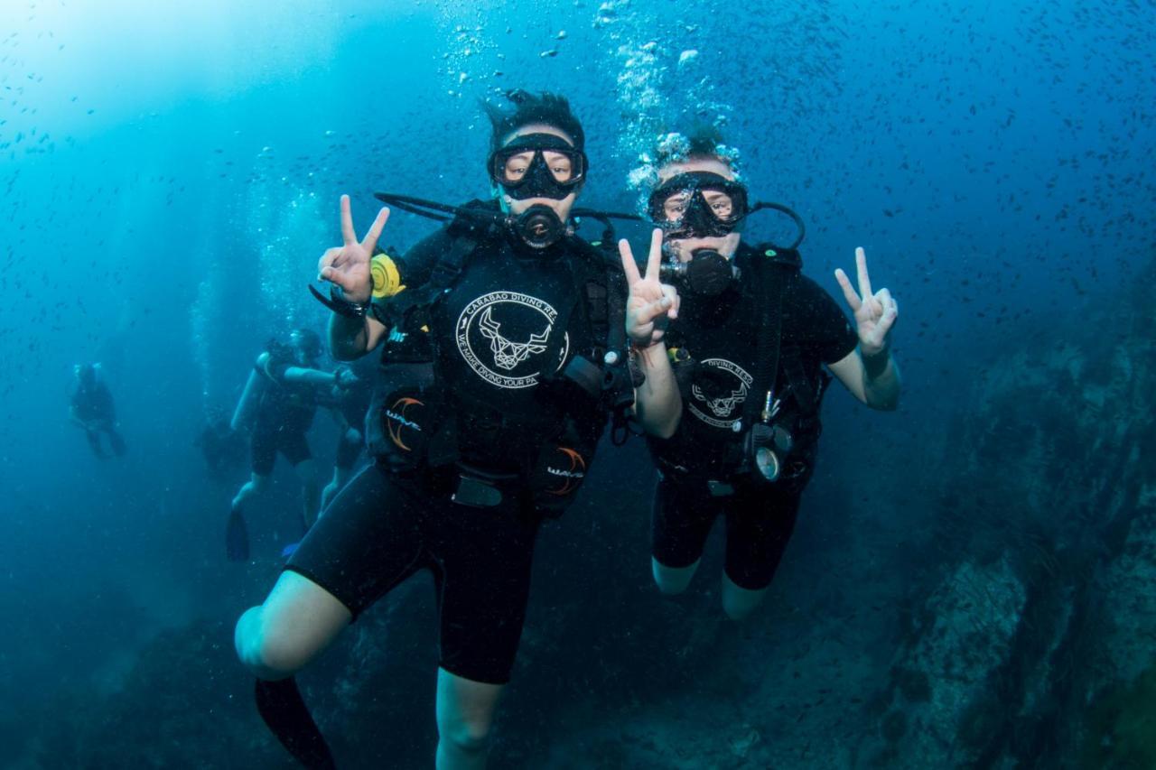 מלון Carabao Diving קו טאו מראה חיצוני תמונה