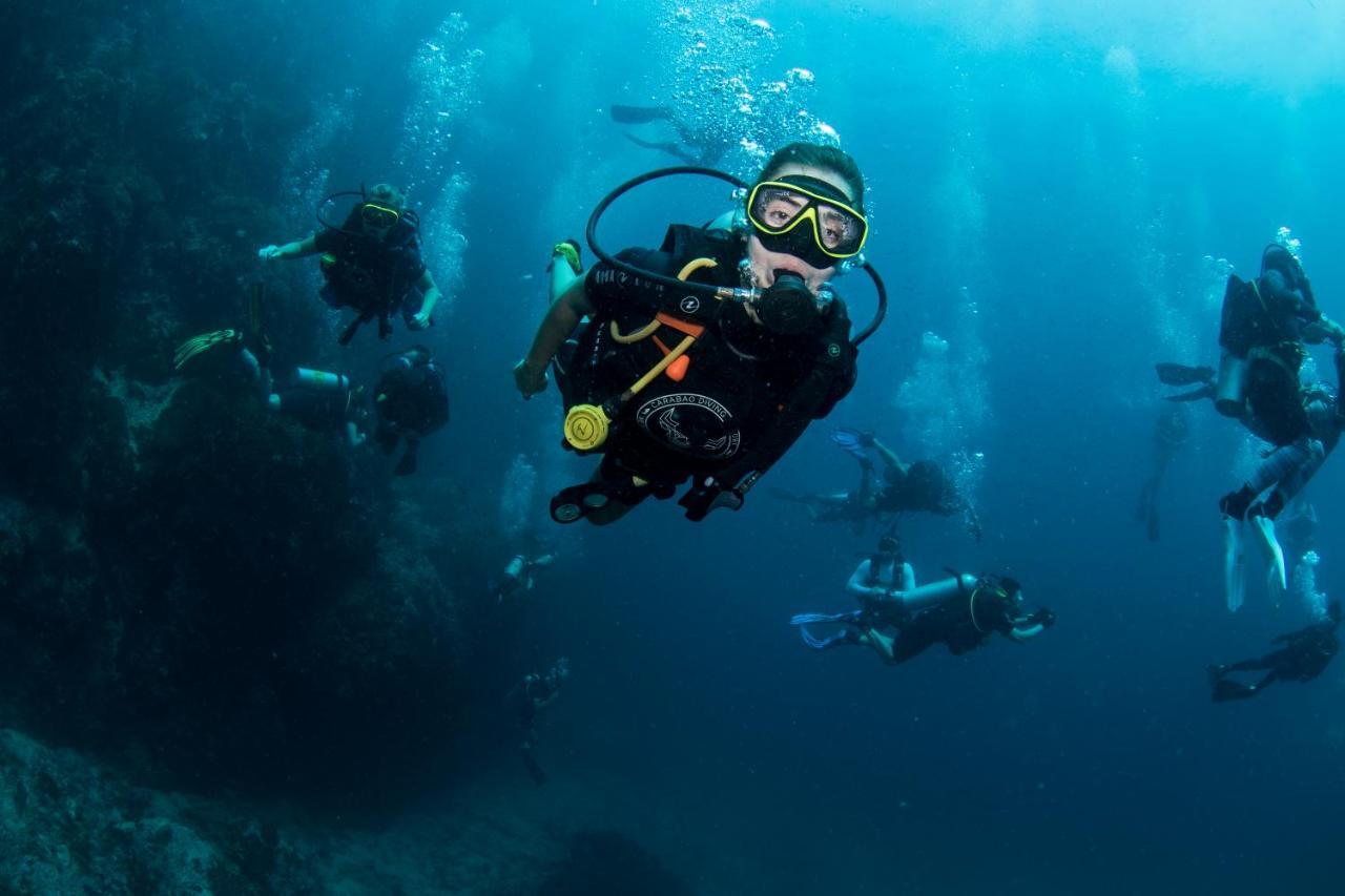 מלון Carabao Diving קו טאו מראה חיצוני תמונה